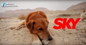 Sky abre sinal de canal exclusivo para público canino