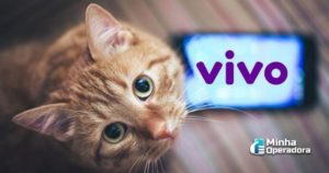 Gatinho olhando para quem observa a imagem e um próximo ao pet traz o logotipo da Vivo em roxo.