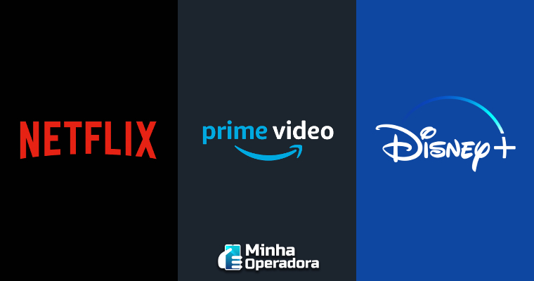 Globoplay, Netflix, Disney+ e mais: market share das plataformas de  streaming em 2021 - 8milimetros