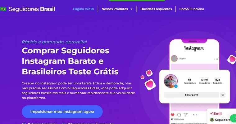 Dashboard da plataforma Seguidores Brasil